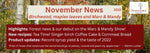 November 2022 Newsletter